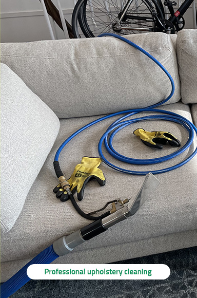 Professional Upholstery Cleaning Professional Upholstery Cleaning